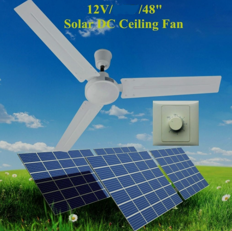 ceiling Fan (DC)